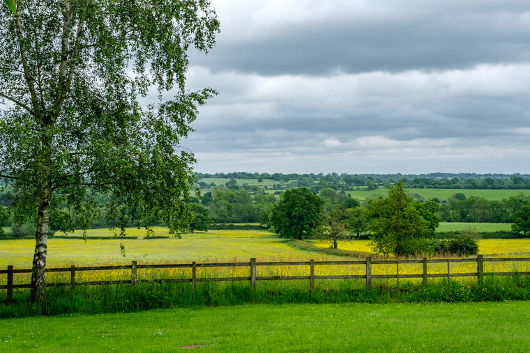 UK May '22 - Deference (Nick Drake) 008.jpg